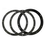 Pentair  Gasket Set with Double Wall Gasket