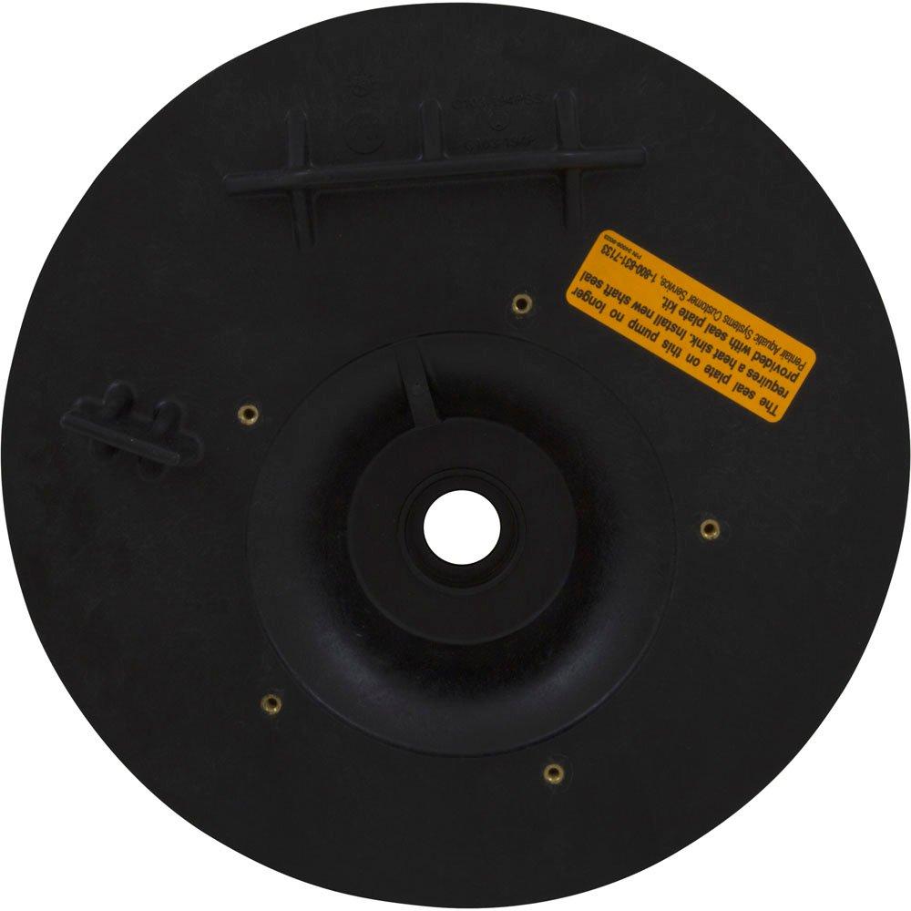 Pentair  Seal Plate