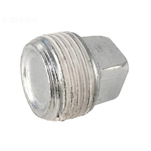Pentair  3/4 Pipe Plug for Max-E-Therm/MasterTemp