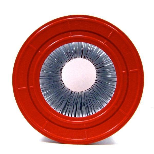 Pleatco  Filter Cartridge for Waterway Plastic Clearwater Upgrade to 817-0200