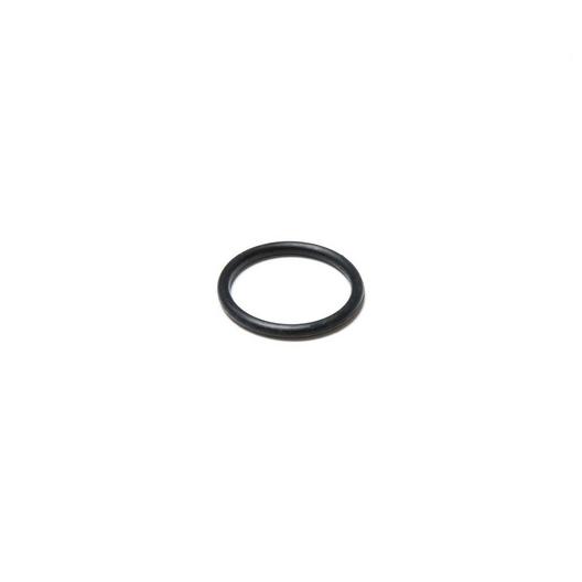 Polaris  Feed Hose Connector O-Ring for 3900