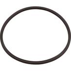 Paramount  In Deck Leaf Canister Lid O-Ring 005-152-0120-00