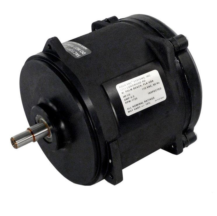 Hayward - AQV Q Motor 1/3HP 110/60