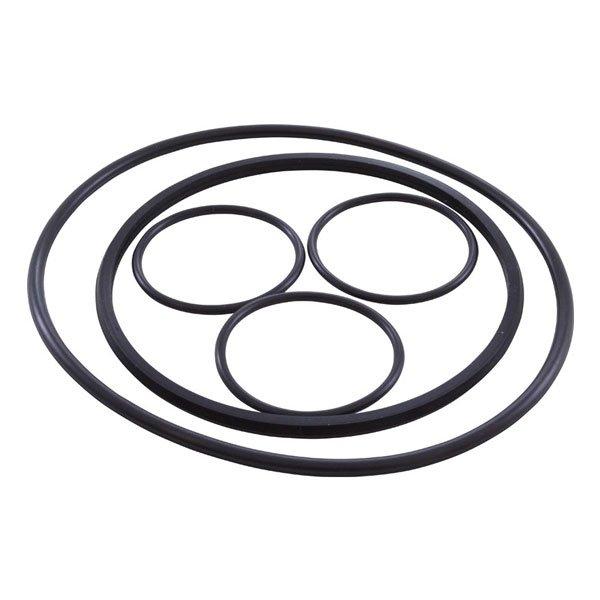 Hayward - O-Ring Kit, All O-Rings on Strainer and Filter