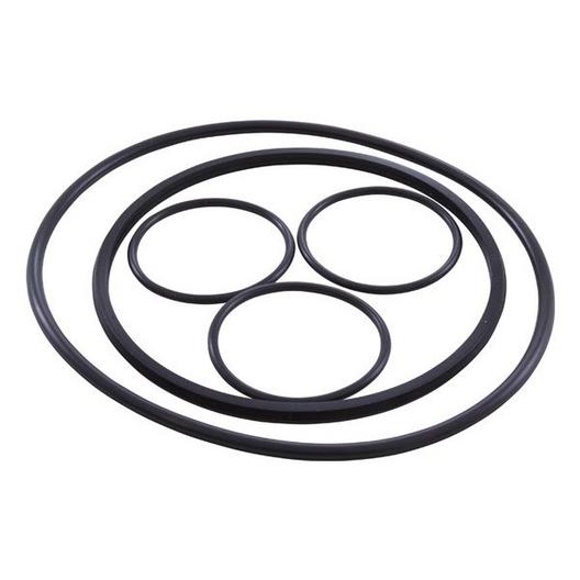 Hayward  O-Ring Kit All O-Rings on Strainer and Filter
