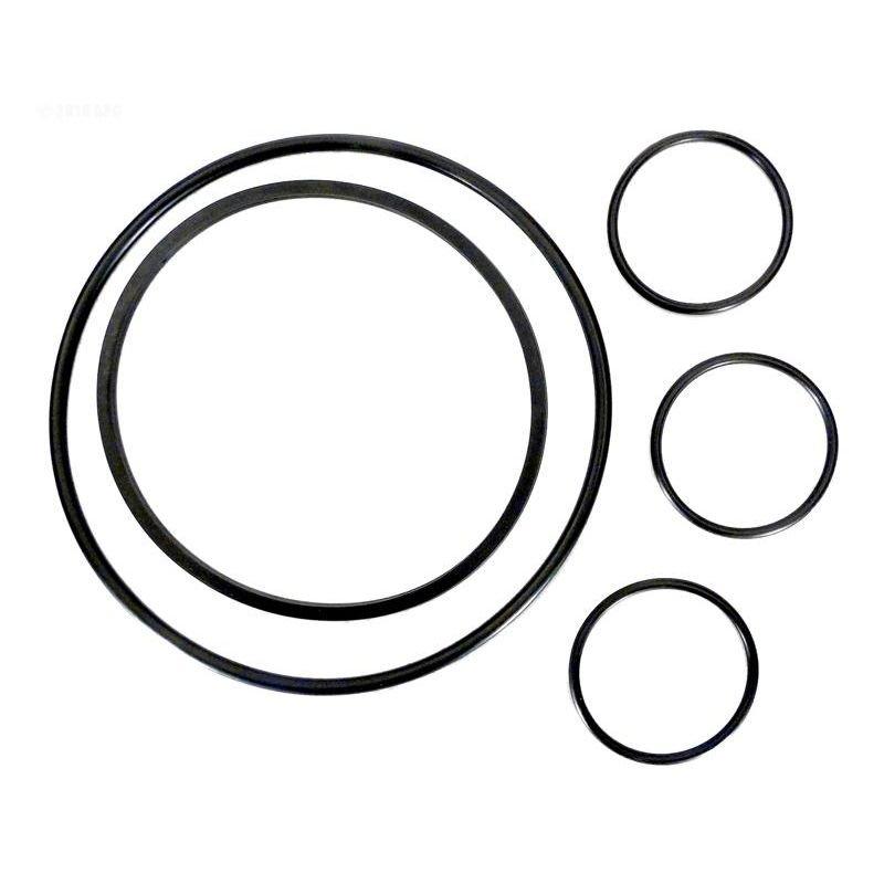 Hayward  O-Ring Kit All O-Rings on Strainer and Filter