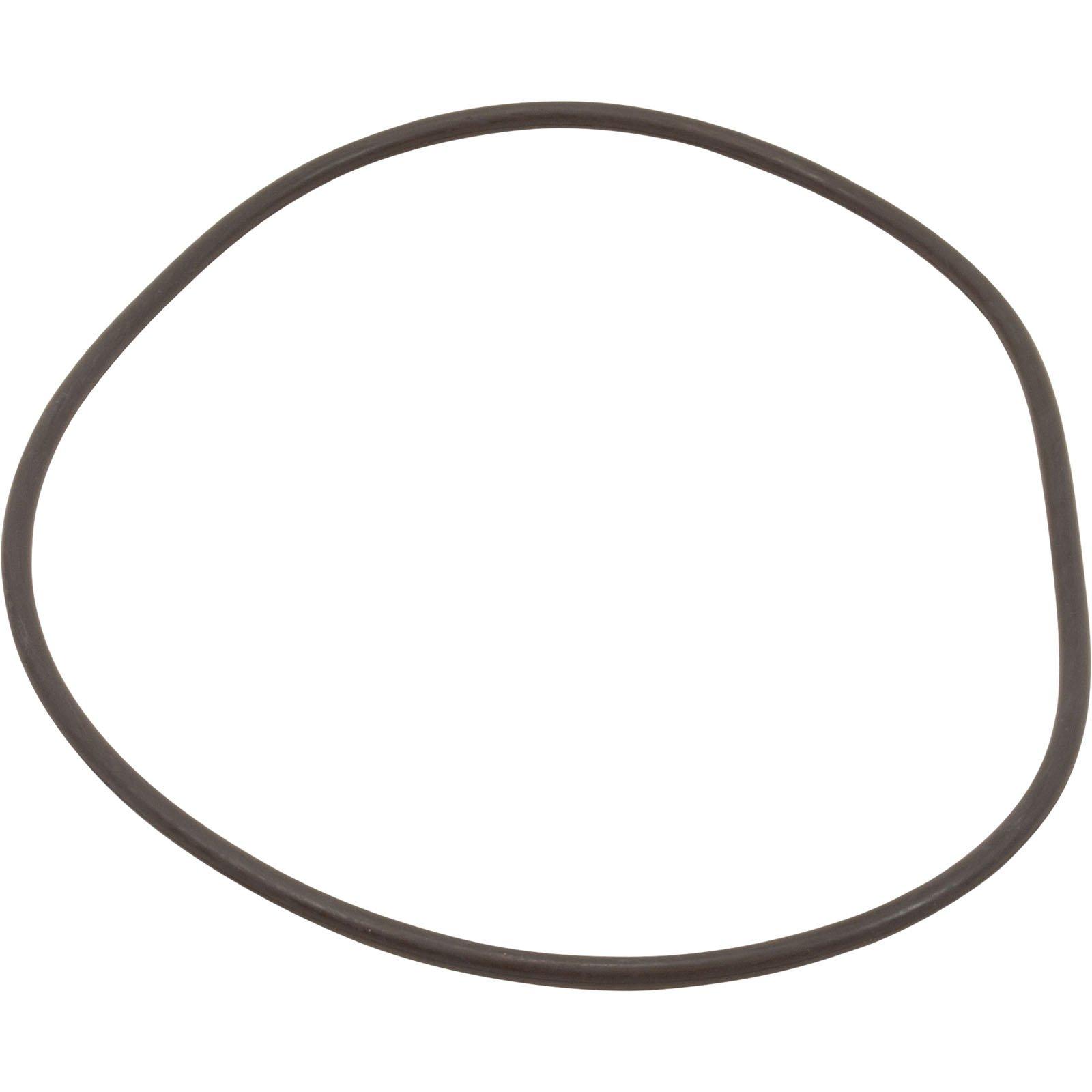Waterway - Lid O-Ring #448 for Pro Clean Filter 35 Shore with Bag