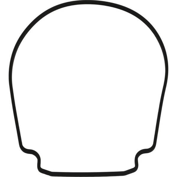 Pentair  Gasket Seal Plate to Housing for IntelliFlo/IntelliFlo VS