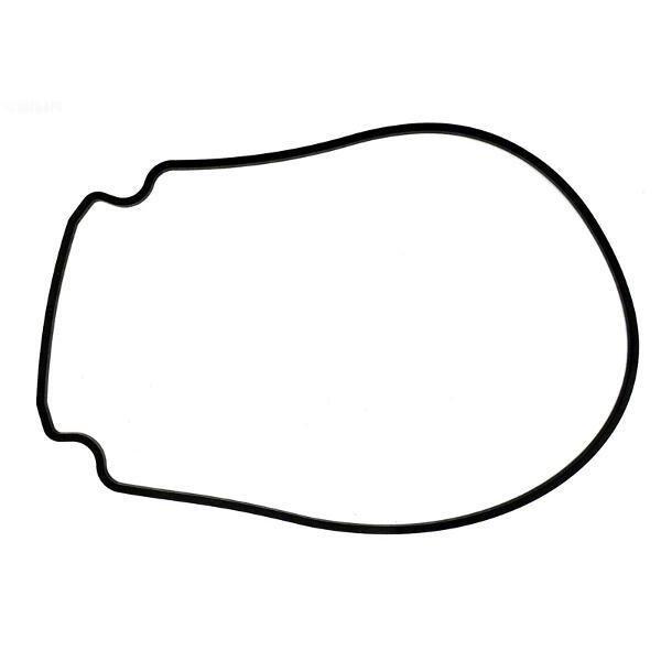 Pentair  Gasket Seal Plate to Housing for IntelliFlo/IntelliFlo VS