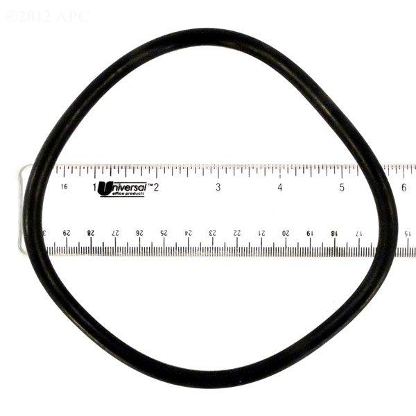 Zodiac  Lid O-Ring