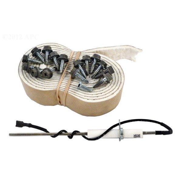 Zodiac  LXI Flame Sensor