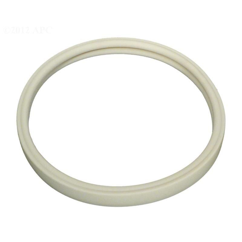 Pentair  Gasket for Lens OEM Intellibrite White