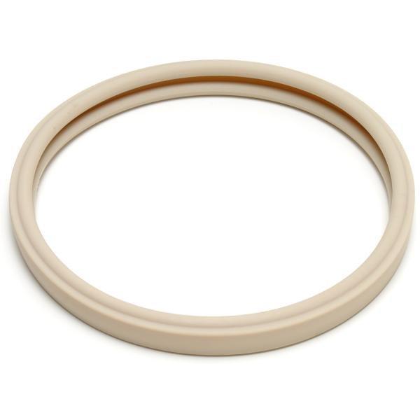 Pentair  Gasket for Lens OEM Intellibrite White