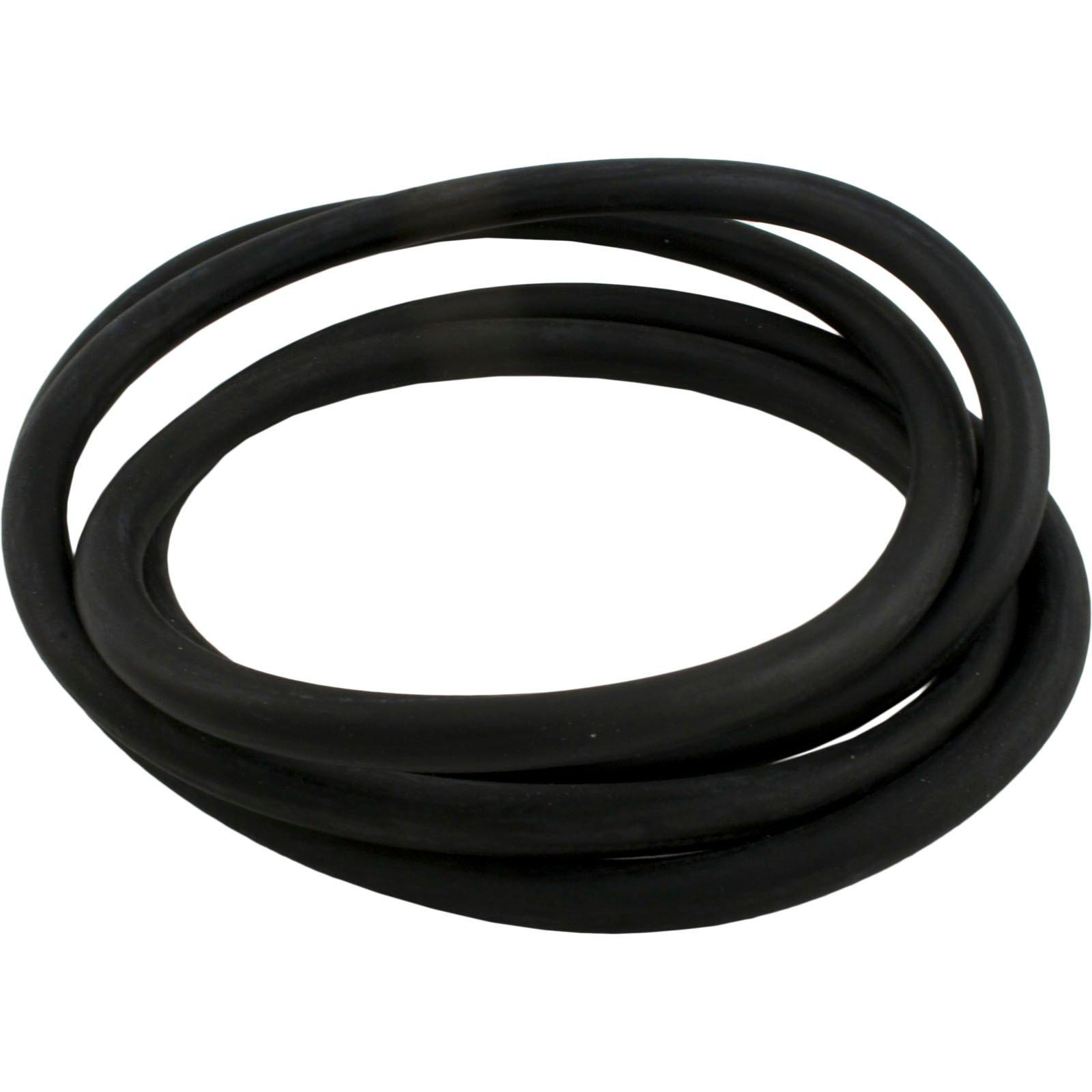 O-Ring for StaRite DES Vertical DE Filter O-106