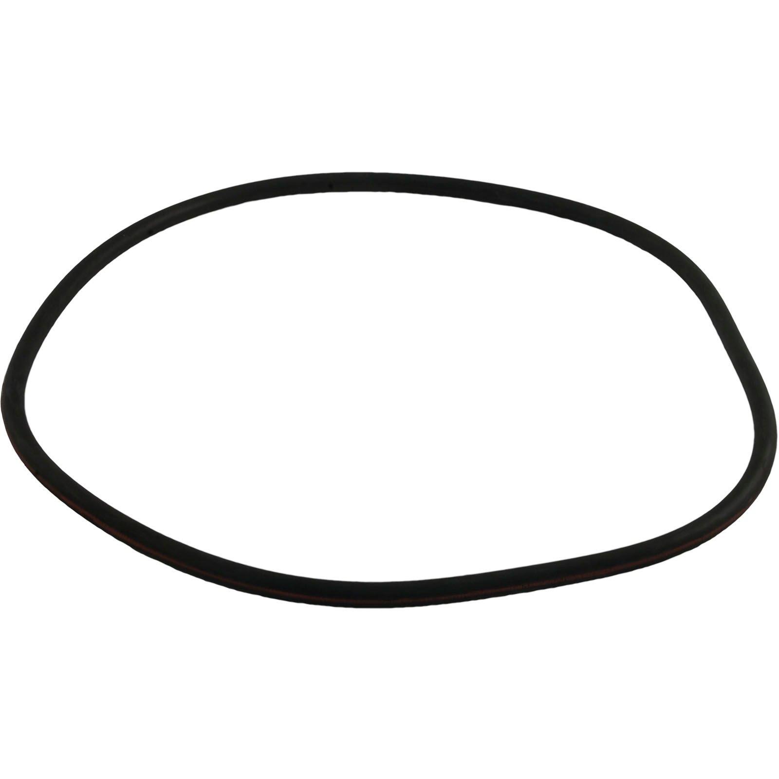 All Seals  Replacement Filter Tank O-Ring for Purex CFW/2000 18 Tank Body