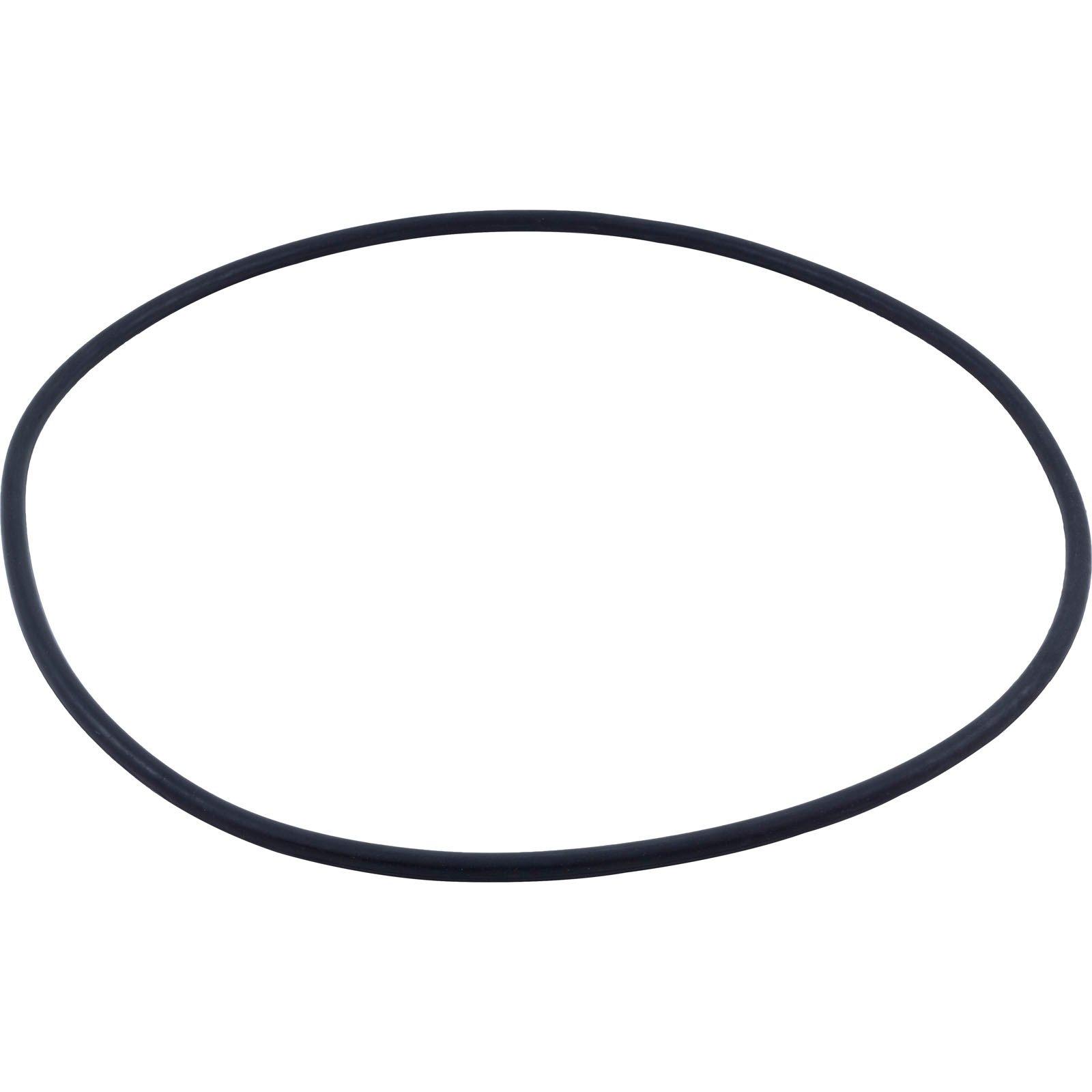 All Seals  Replacement Tank Body O-Ring for Pentair Pac Fab Sea Horse/Nautilus