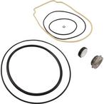 All Seals  Replacement O-Ring and Pump Seal Kit for Pentair WhisperFlo