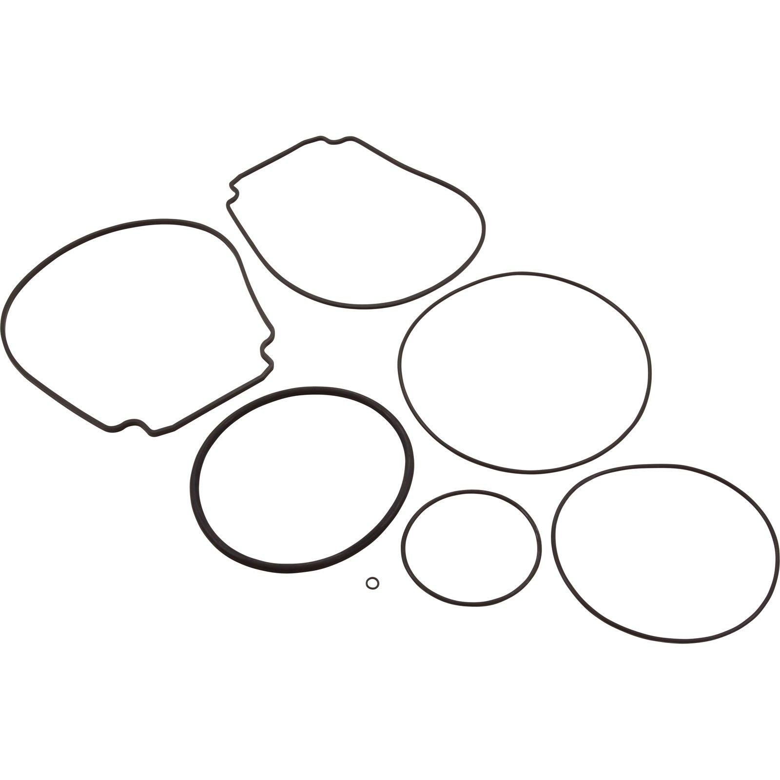 All Seals Replacement ORing and Pump Seal Kit for Pentair WhisperFlo