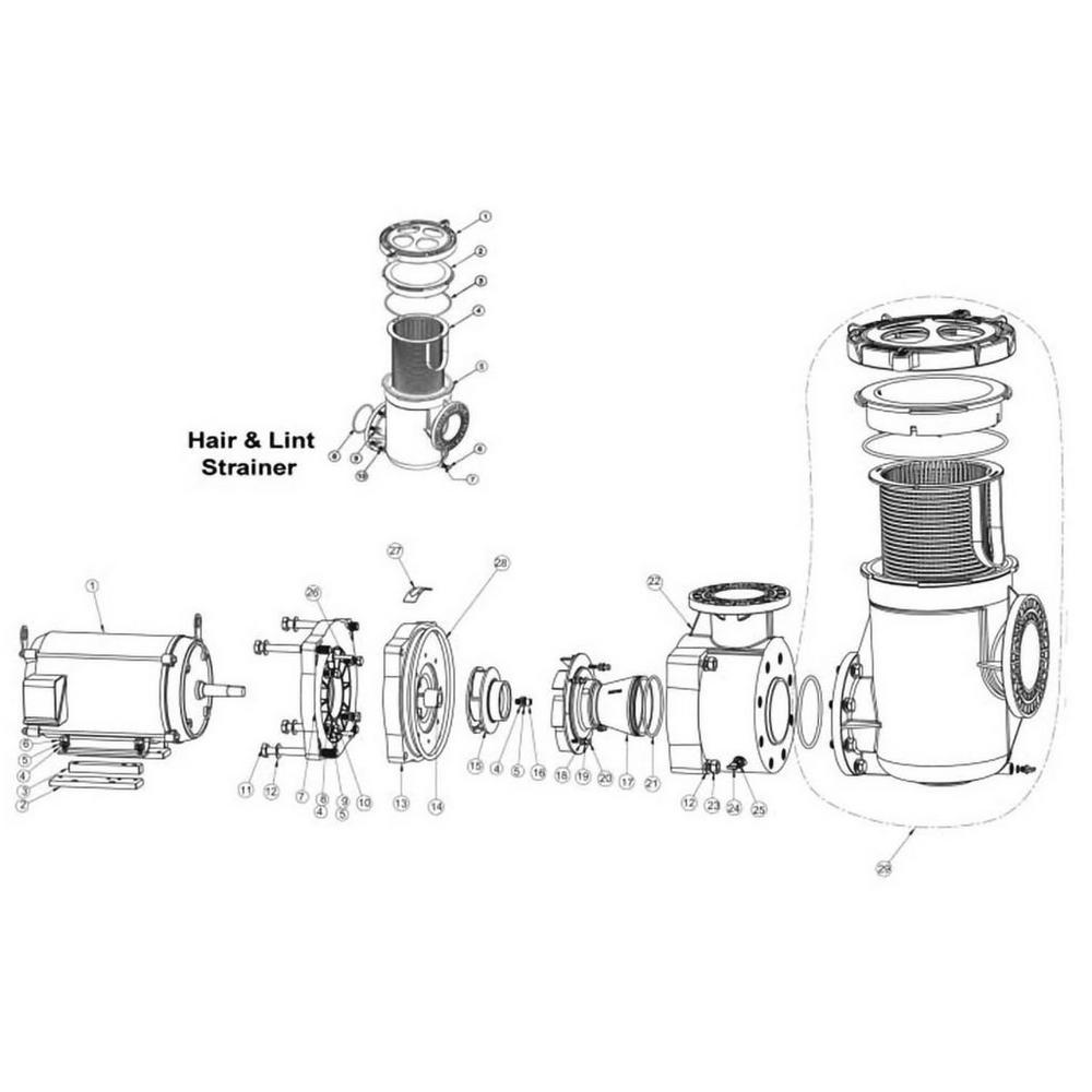 Pentair EQ Commercial Plastic Pump Parts Breakdown