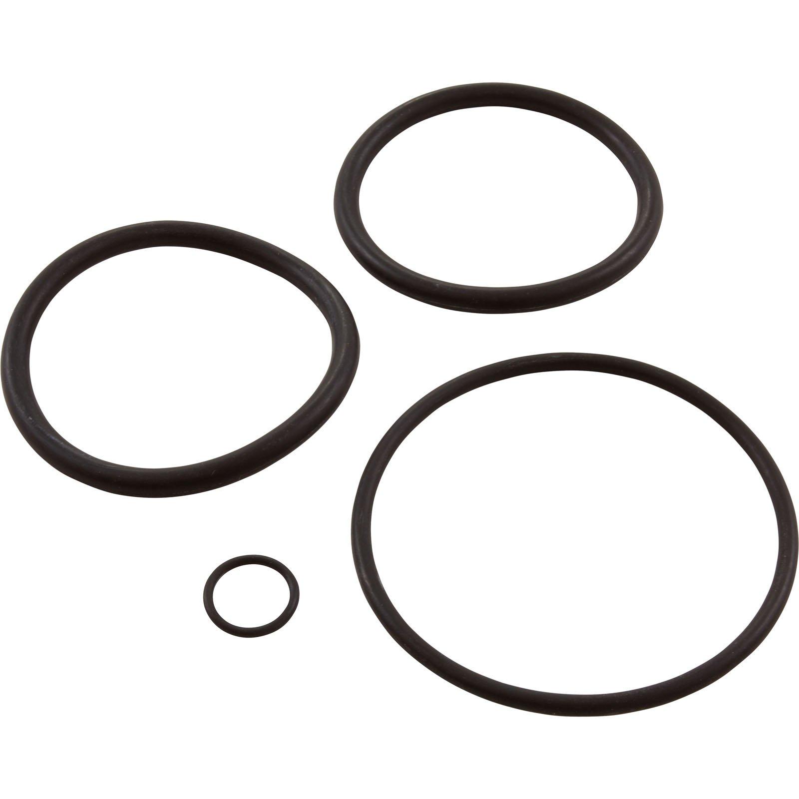 Replacement O-Ring Kit for Sta-Rite Swimquip Duetta