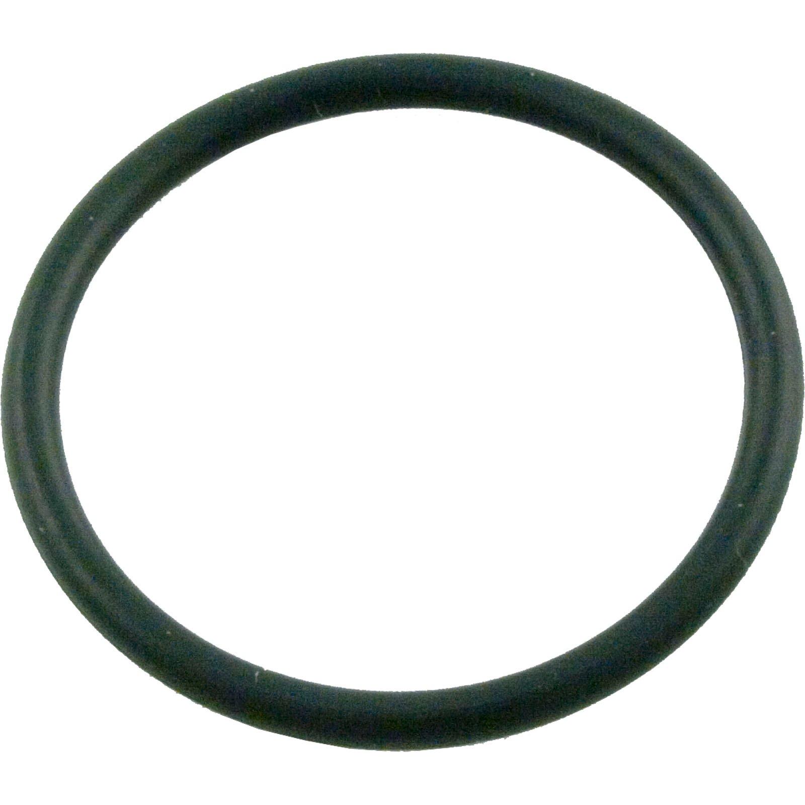 Hydroseal O-Ring 1in. Union Gasket | In The Swim