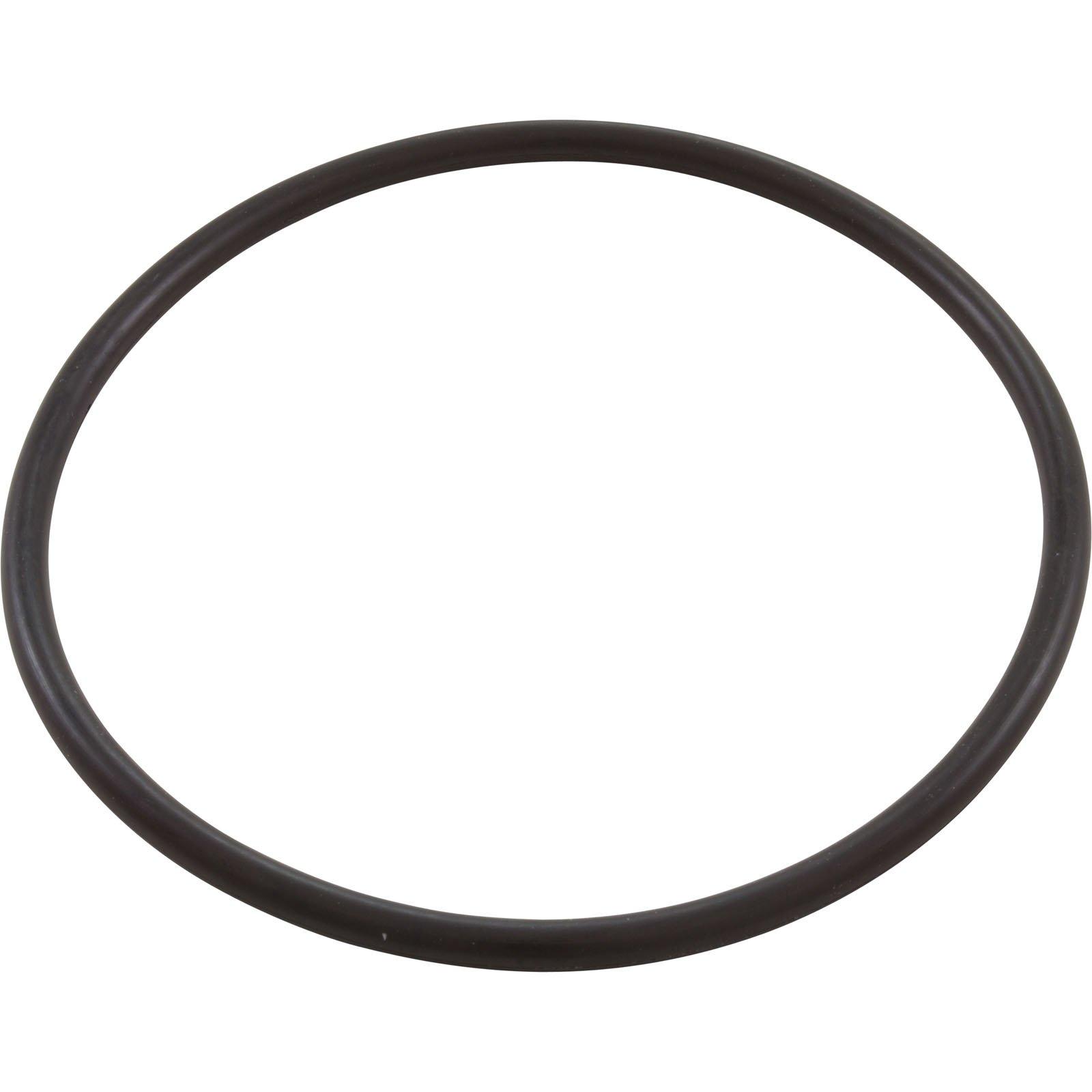 All Seals  Replacement Lid O-Ring for Pentair Whisperflo Challenger IntelliFlo