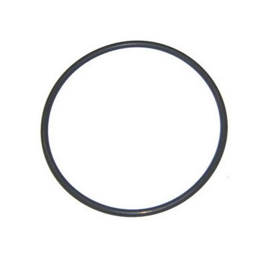 Sta-Rite  O-Ring Filter Body/Volute