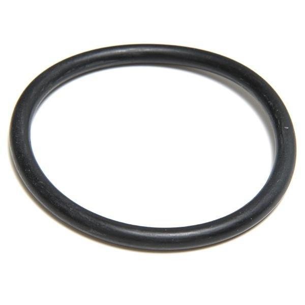 Aladdin Equipment Co  O-Ring for SwimClear C2030 C3030 C4030 C5030 C7030