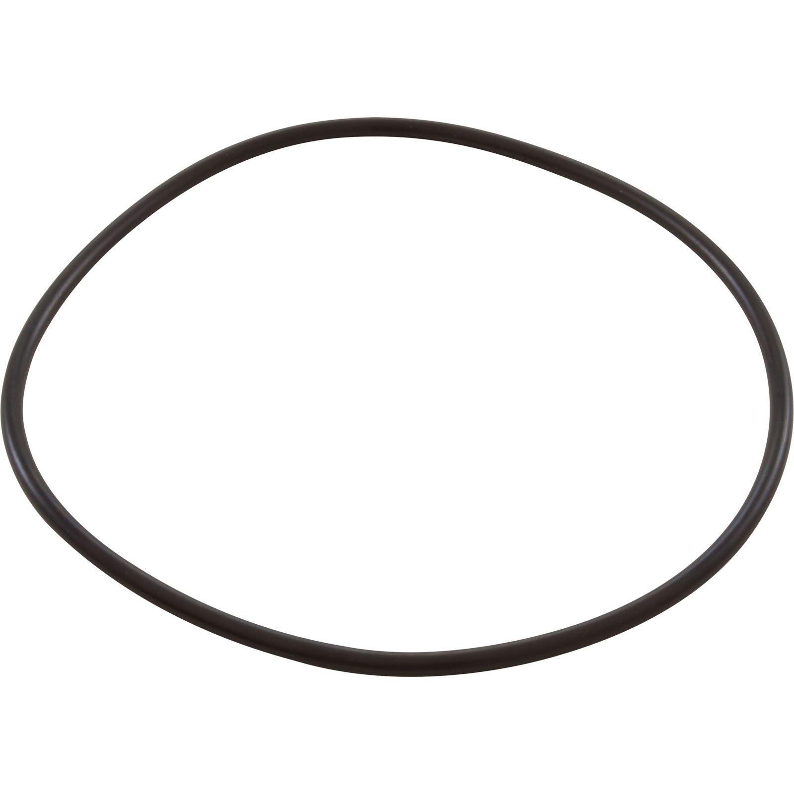 All Seals  Replacement Dome Lid O-Ring for Hayward S200/S240