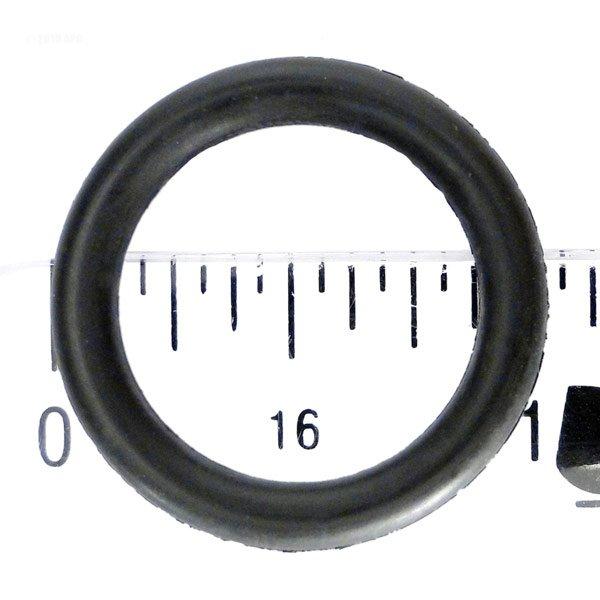 Hayward  O-Ring Drain Plug