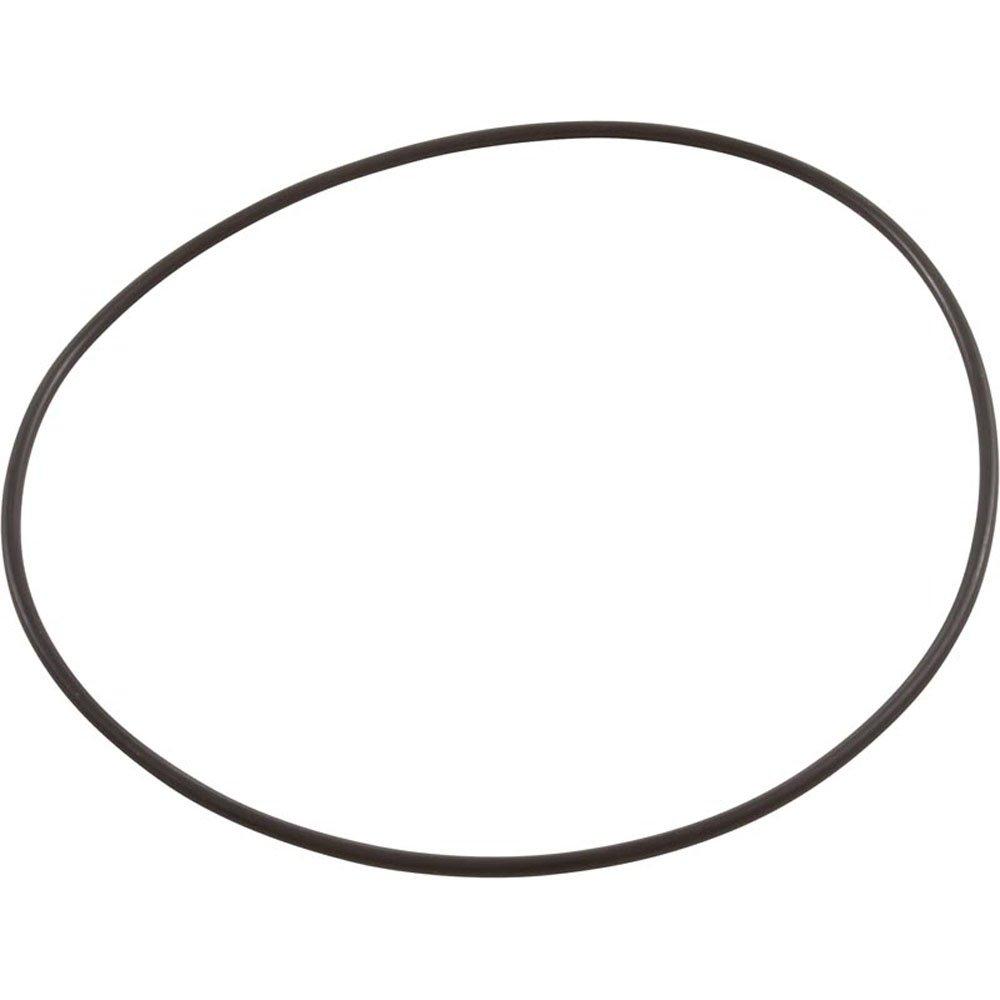 Pentair  O-Ring Volute