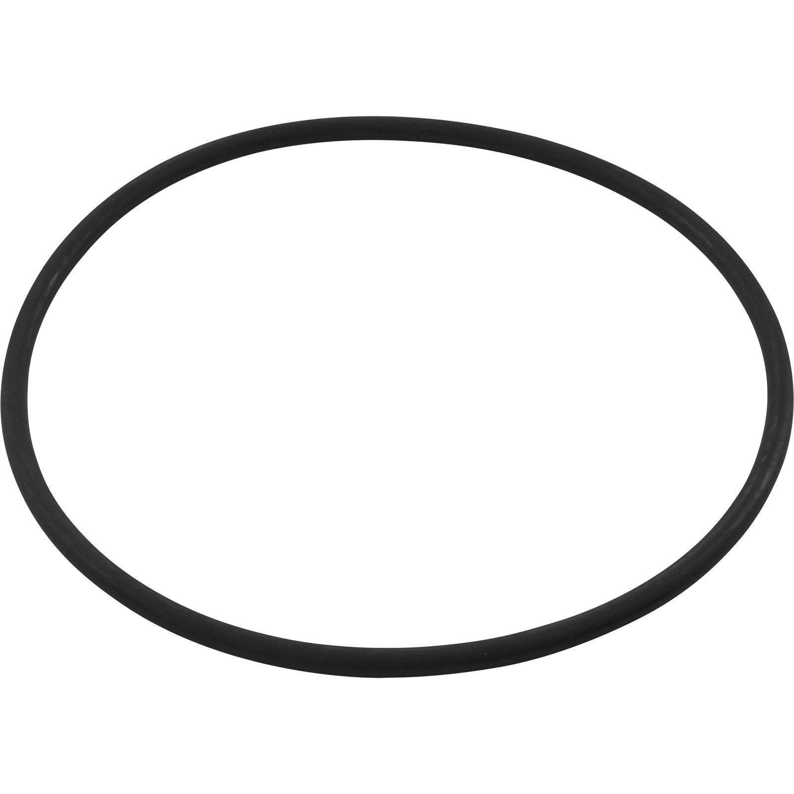 Replacement Seal Plate O-Ring for Pentair Dynamo