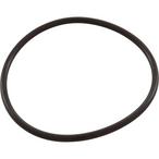 All Seals  Replacement Diffuser O-Ring for Pentair Pac Fab Challenger 5HP