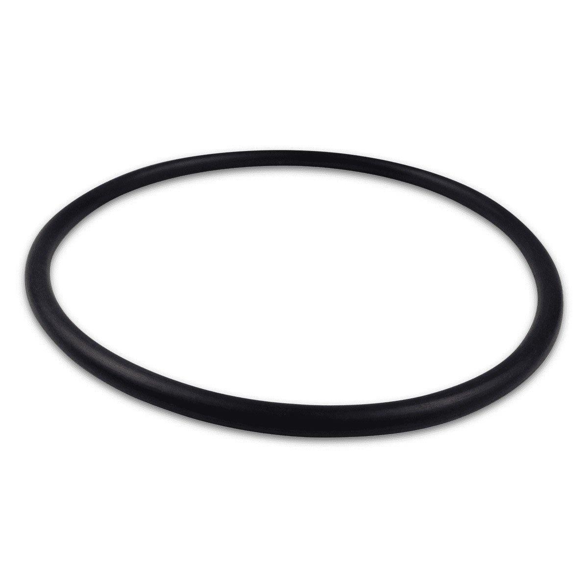 All Seals - Replacement O-Ring for Pentair 1.5" HiFlow Multiport Valve