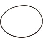 All Seals  Replacement Seal Plate O-Ring for Jandy MHP/MHPU