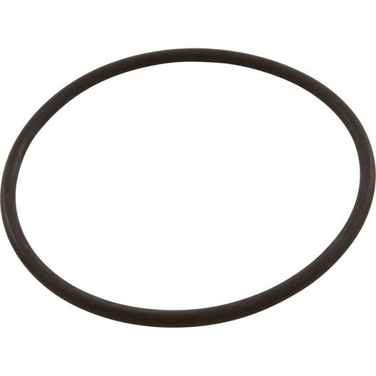 All Seals  Replacement Pump Lid O-Ring for Sta-Rite 6in Trap Cover