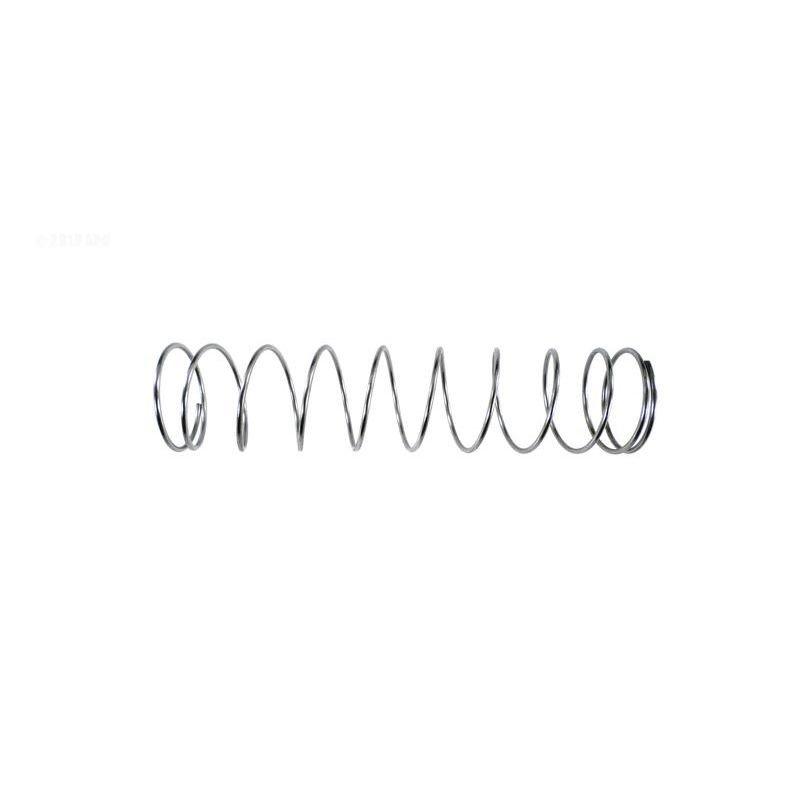 Pentair  Replacement Spring flow valve