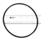 Pentair  Replacement Lid O-Ring for SuperFlo/OptiFlo