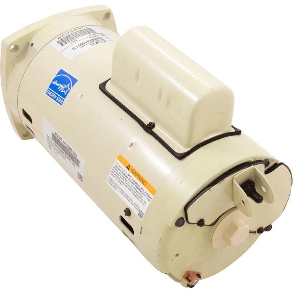 Pentair - Square Flange Motor, 2 HP, 2 Speed - Almond