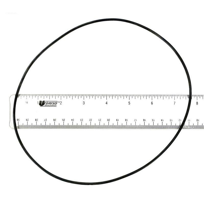Volute O-Ring for Aqua-Flo Flo-Master XP3 Series Pumps