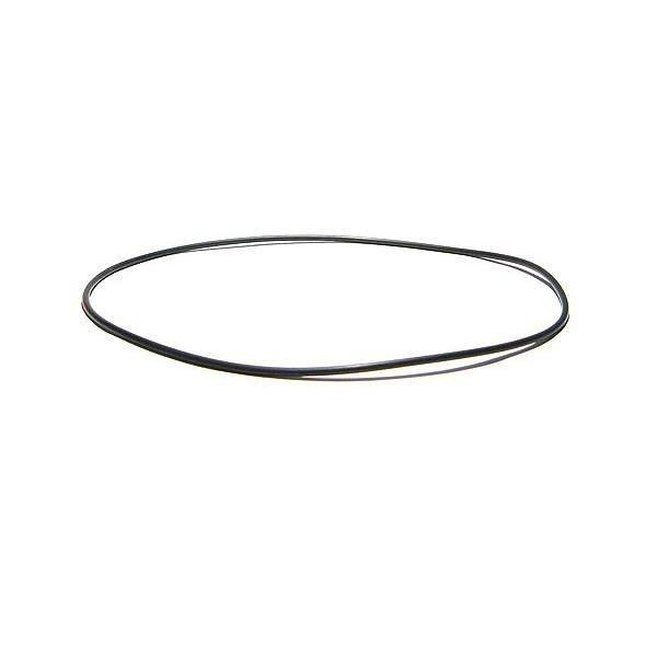 Volute O-Ring for Aqua-Flo Flo-Master XP3 Series Pumps