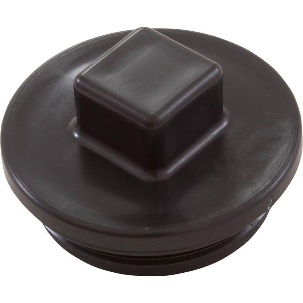 Carvin  Plug  2in with Gasket