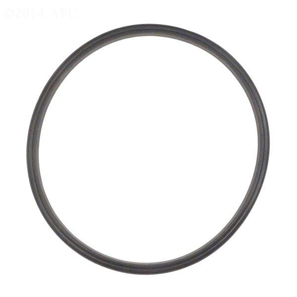 Jandy Replacement Lid Seal Sand Filter In The Swim