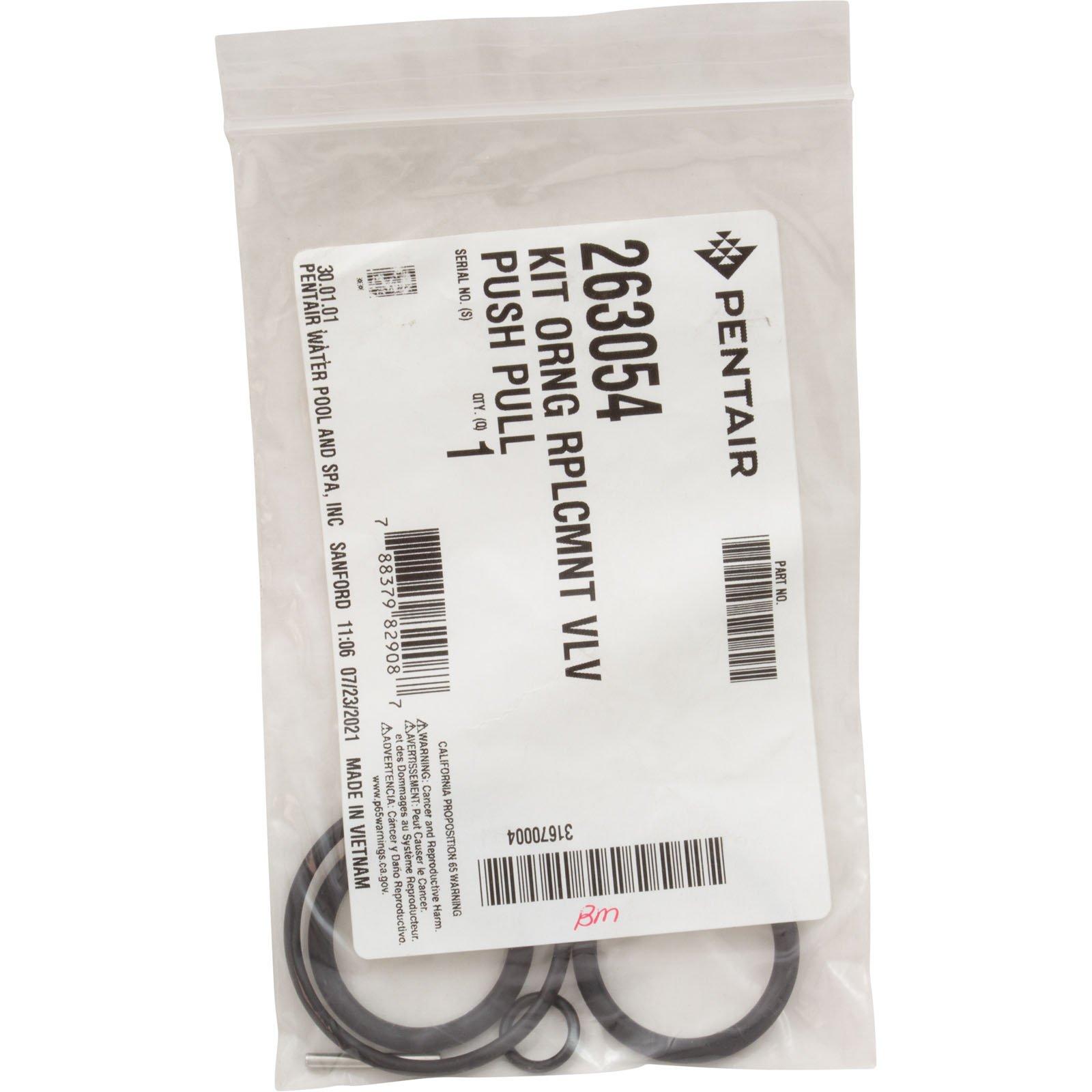 Pentair O-Ring Replacement Kit Push Pull Valve (263054) 788379852122| eBay