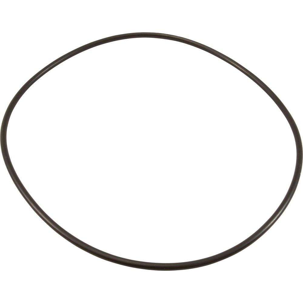 Jacuzzi  Lid O-Ring for J-C150 Filter