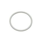Jacuzzi  Main Body O-Ring for J-CQ420 Filter