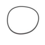 Jacuzzi  Top Lid/Valve O-Ring for J-SF24 Filter