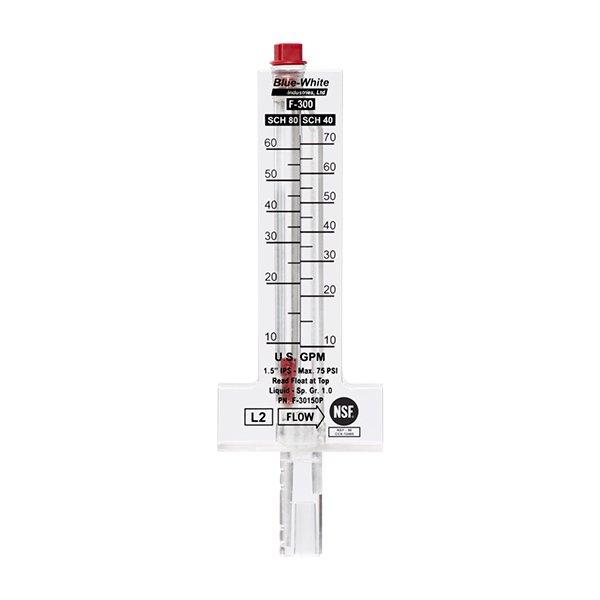 Blue-White  F-30200P Flowmeter 2in  F-300 20-120 GPM