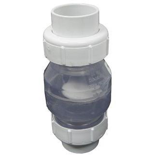 Flo-Controls  True Union Swing Check Valve 2in Clear