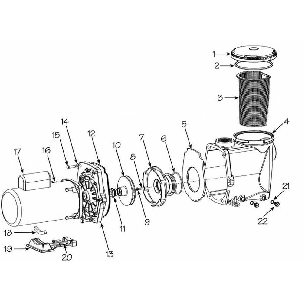 Waterway Champion Pump Part Schematic
